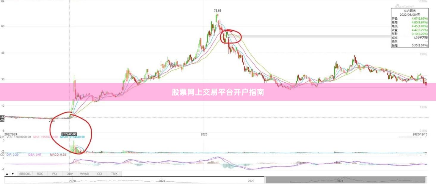 股票网上交易平台开户指南